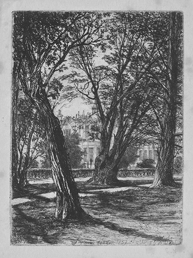 A small group of prints_cover